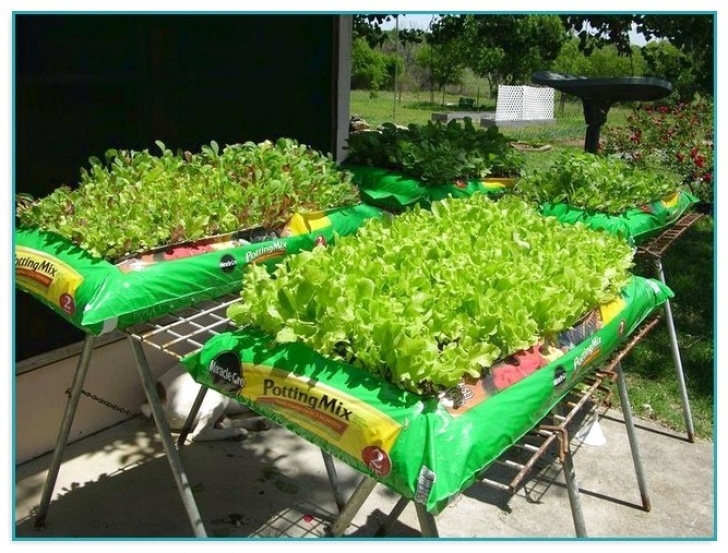 Best Topsoil For Vegetable Garden Vigoro Organic Garden Soil | Home Improvement Photo 359