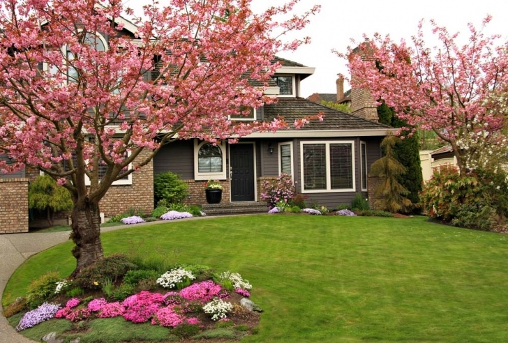 Best Trees For Small Yards 37 Inspiring Front Yard Landscaping Ideas - Page 2 Of 3 Image 802