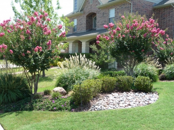 Best Trees For Small Yards Flower, Plants & Trees | Green Meadows Landscaping Design Photo 324