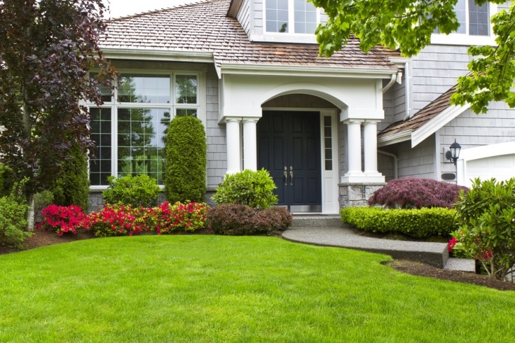Best Trees For Small Yards Orlando And Central Florida Mulch Review What'S Your Best Photo 214