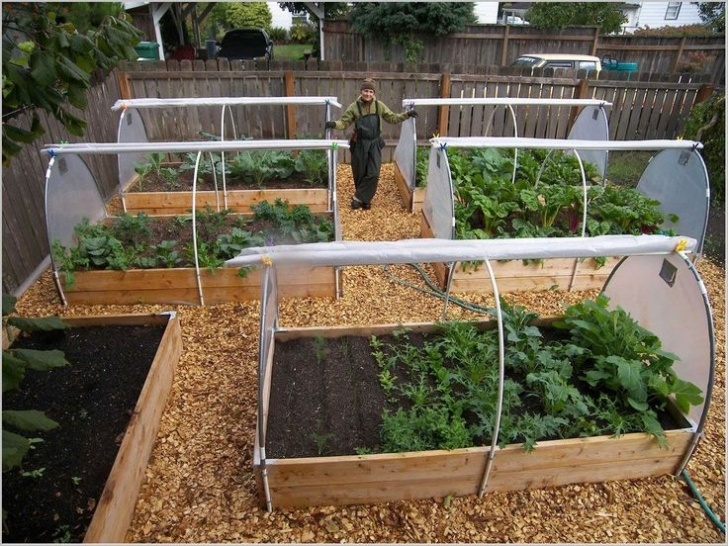Best Vegetable Garden Layout Enclosed Vegetable Garden Structures - Diy Projects Photo 634