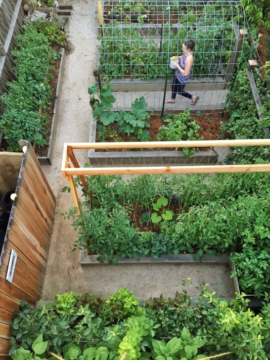 Best Vegetable Garden Layout How To Build A Simple Raised Bed | Garden Layout, Raised Image 089