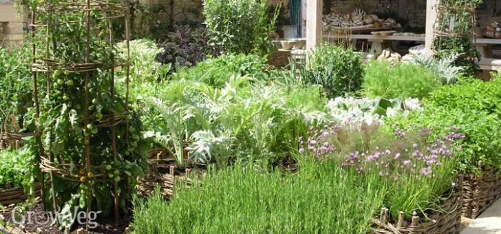 Best Vegetable Garden Layout How To Plan A Vegetable Garden: Design Your Best Garden Layout Photo 016
