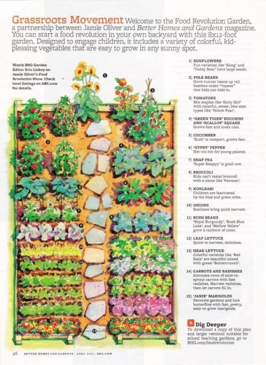 Best Vegetable Garden Layout Kitchen Garden Designs, Plans + Layouts 2020 | Family Food Photo 631