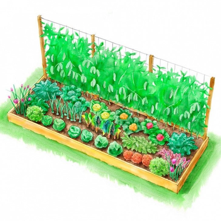 Best Vegetable Garden Layout Planting Plans Inspired By The White House Kitchen Garden Photo 592