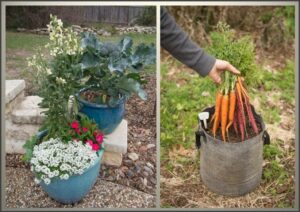 Best Vegetables For Pots Growing Vegetables In Containers Image 631 Best Vegetables For Pots Growing Vegetables In Containers Image 631