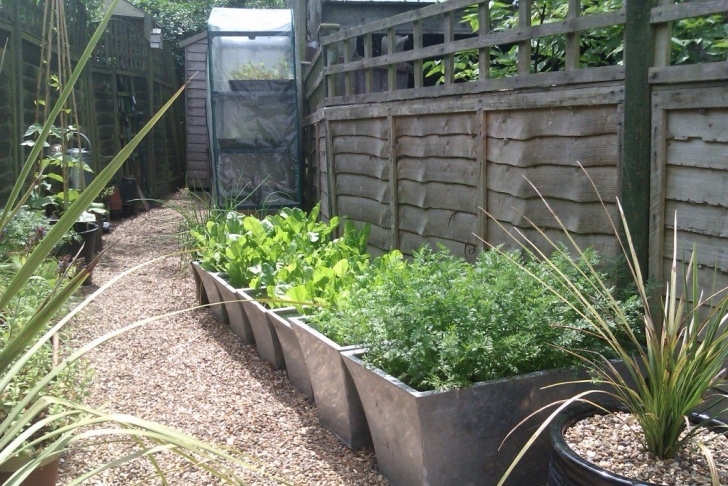 Best Vegetables For Pots How To Grow Your Own Vegetables In Pots And Containers Image 138