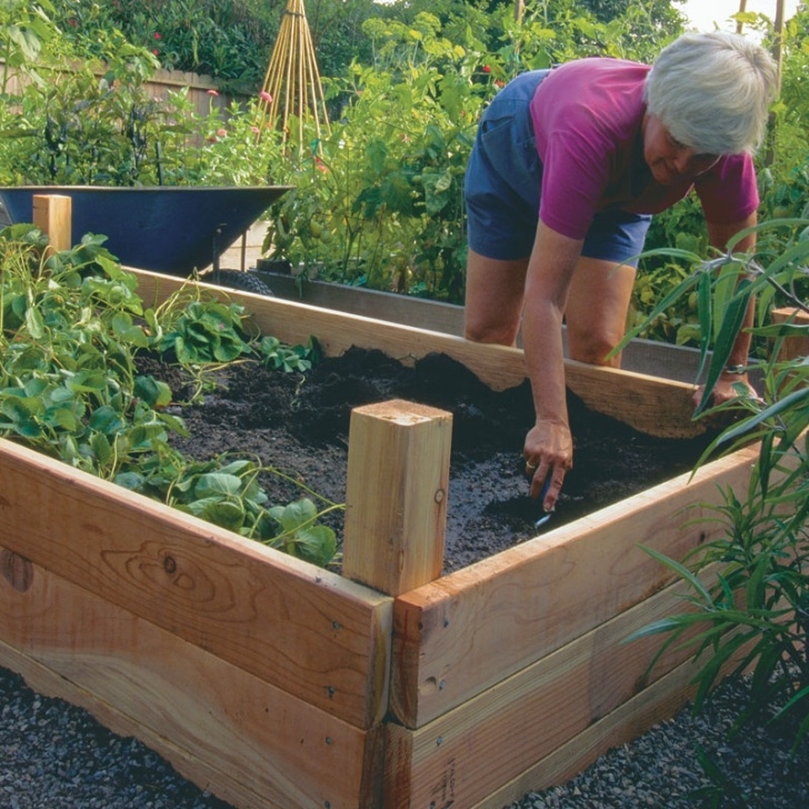 Best Vegetables For Raised Beds 10 Inspiring Diy Raised Garden Bed Ideas,Plans And Designs Image 950