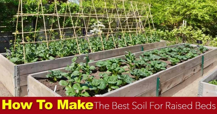 Best Vegetables For Raised Beds Soil For Raised Beds: How To Make The Best Raised Bed Soil Image 776