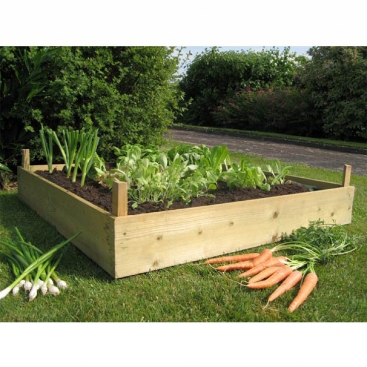 Best Vegetables For Raised Beds Wood For Raised Beds: A Practical Way Of Gardening – Homesfeed Image 909
