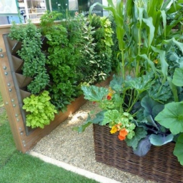 Best Vegetables For Small Garden 20 Best Productive Small Vegetable Garden Ideas For Your Image 516