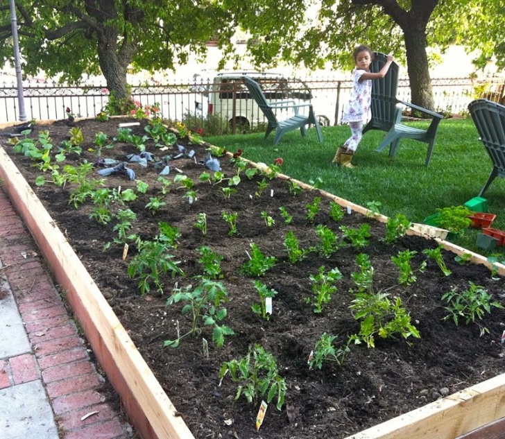 Best Vegetables For Small Garden 24 Awesome Ideas For Backyard Vegetable Gardens - Page 2 Of 5 Image 468