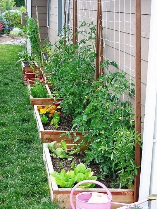 Best Vegetables For Small Garden 46+ Simple Raised Vegetable Garden Bed Ideas 2020 Image 741