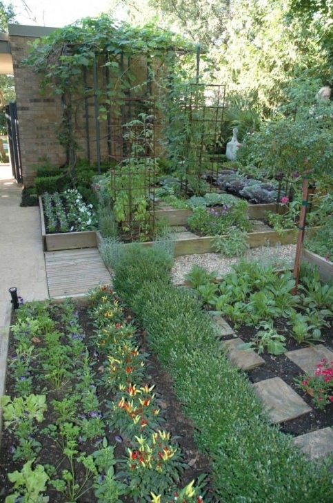 Best Vegetables For Small Garden Best 20 Vegetable Garden Design Ideas For Green Living Image 802