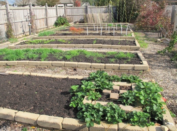 Best Vegetables For Small Garden Vegetable Garden Cathedral Update Photo 122