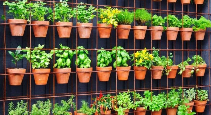 Best Vegetables For Vertical Gardening Create A Vertical Vegetable Garden Picture 614