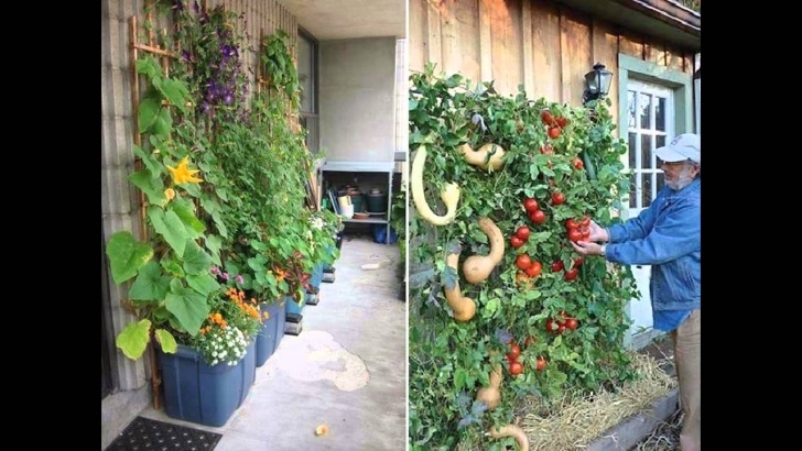 Best Vegetables For Vertical Gardening Creative Pvc Vertical Garden - Youtube Picture 902