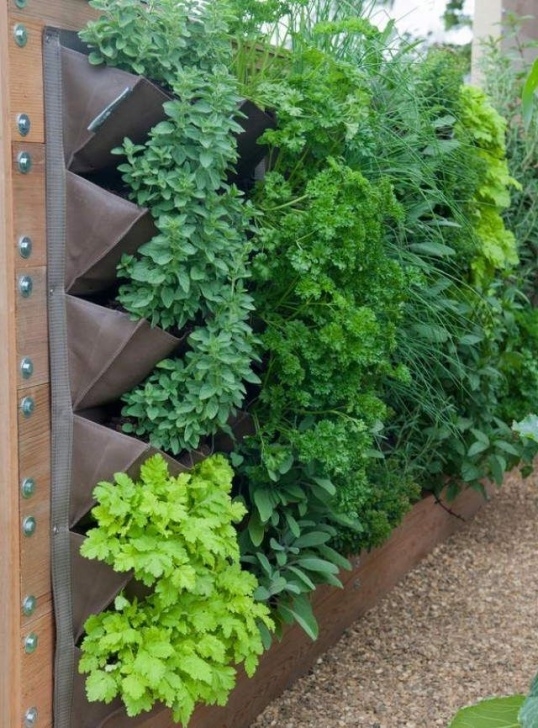 Best Vegetables For Vertical Gardening Eggeth Home Reference Vertical Vegetable Garden Trellis Picture 730
