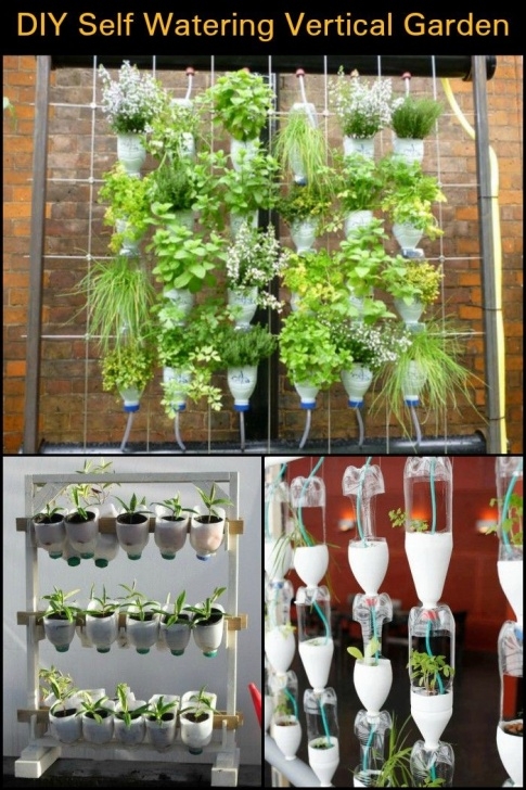 Best Vegetables For Vertical Gardening How To Build A Self Watering Vertical Garden | Vertical Image 033
