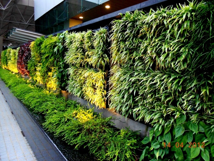 Best Vegetables For Vertical Gardening Vertical Garden Concept For Buildings: Greenwall Vertical Image 990