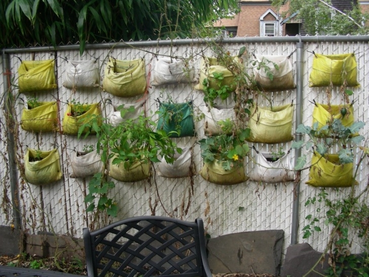 Best Vegetables For Vertical Gardening Vertical Gardening - "Growing Up" - Sparrow &amp; Brambles Image 562