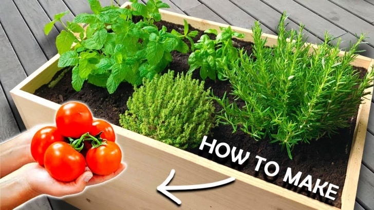 Best Vegetables To Grow At Home How To Make A Planter Box At Home | Growing Your Own Picture 940
