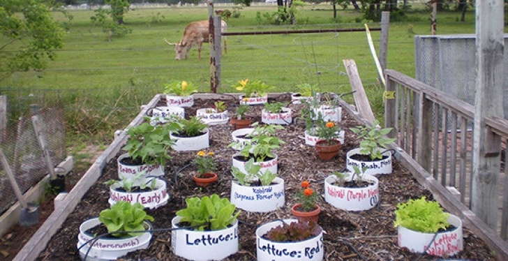Best Vegetables To Grow In Containers Container Gardening – Vegetables That Grow In Containers Photo 530