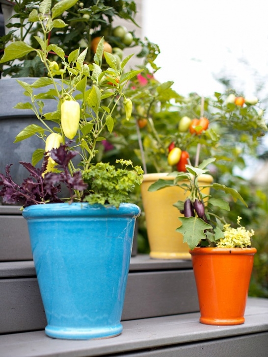 Best Vegetables To Grow In Containers Fresh Ideas For Growing Vegetables In Containers Photo 140