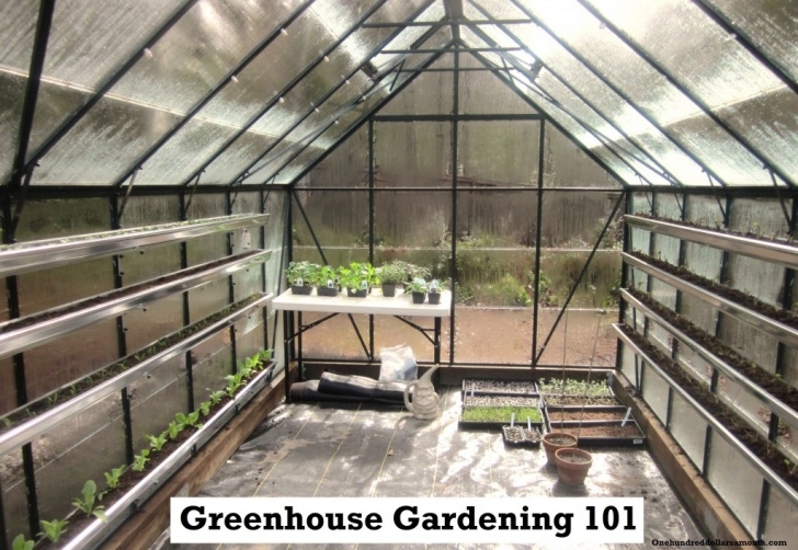 Best Vegetables To Grow In Greenhouse How To Grow Food In A Greenhouse: Planting Vegetable Photo 311