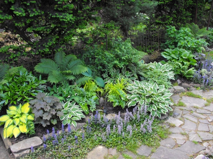 Best Vegetables To Grow In Shade List Of Shade &amp; Cold Tolerant Plants (Vegetables, Herbs Photo 190