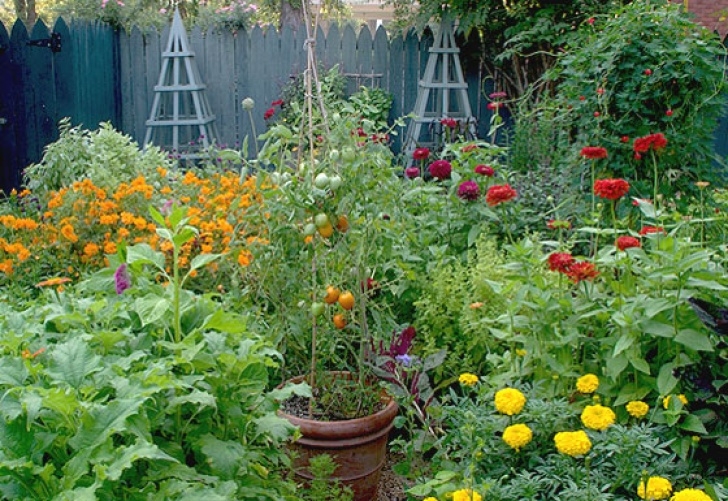 Best Vegetables To Plant Five Ways To Give Your Vegetable Garden Style – P. Allen Smith Photo 534
