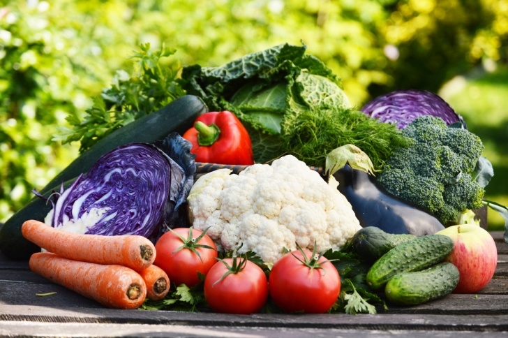 Best Vegetables To Plant In Spring Blog | 10 Vegetables To Plant In Southern California In Image 465