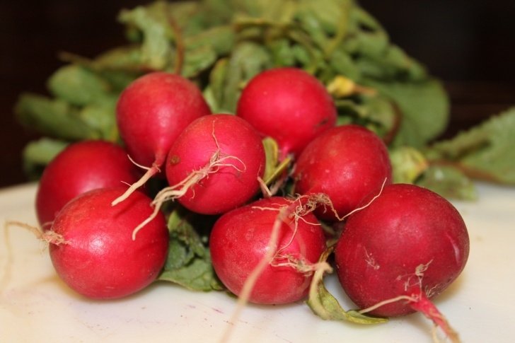 Best Vegetables To Plant In Spring Tips For Planting Cool Weather Spring Crops - Old World Photo 978