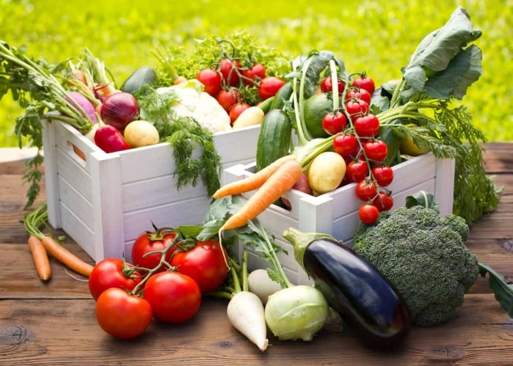 Best Vegetables To Plant In Spring What To Plant In Spring – Vegetable Planting Guide Image 860