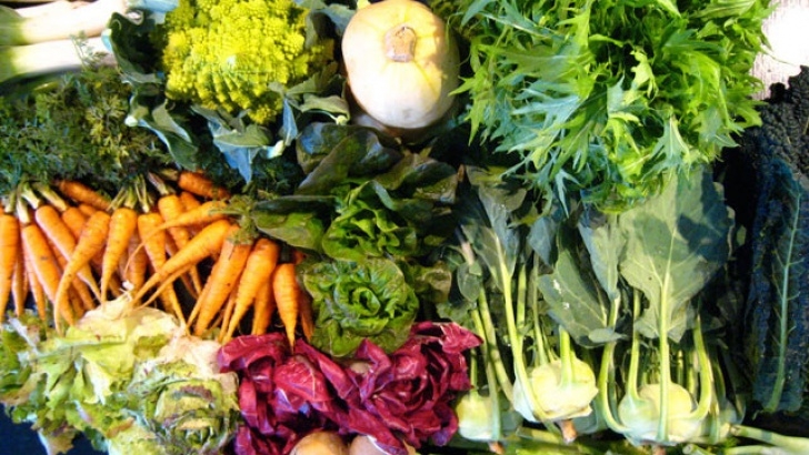 Best Veggies To Grow Go Folic! Be Healthy! | Info And Discussion About Women'S Image 488