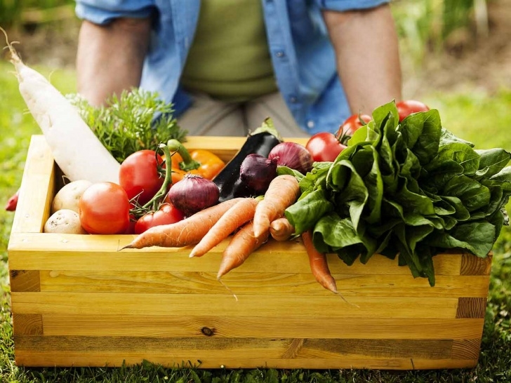 Best Veggies To Grow How To Grow Your Own Vegetables - Saga Picture 424