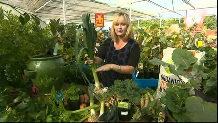 Best Veggies To Grow In Winter Best Winter Vegetable Gardening - Youtube Image 150