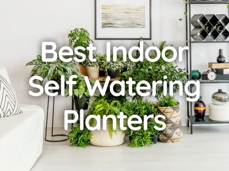 Best Watering Can For Indoor Plants 7 Best Indoor Self Watering Planters For Healthy Image 819