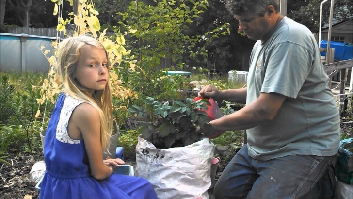 Best Way To Plant Potatoes How To Grow Potatos In Bags Best Way To Grow Potatoes Image 823
