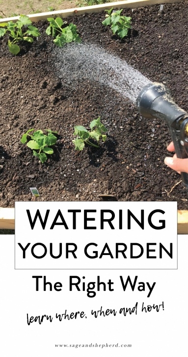 Best Way To Water Vegetable Garden Water Your Vegetable Garden The Right Way Sage And Photo 553
