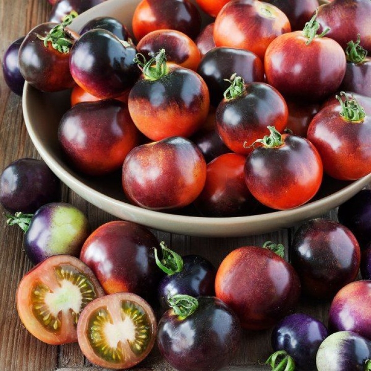 Black Cherry Tomato Plant Black Cherry Tomato | Tomato Tree, Heirloom Seeds Picture 350