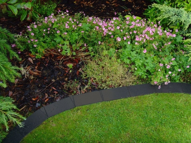 Black Metal Landscape Edging Border Metal Lawn Edging For Garden Border, Grass, Path, Flower Bed Picture 697