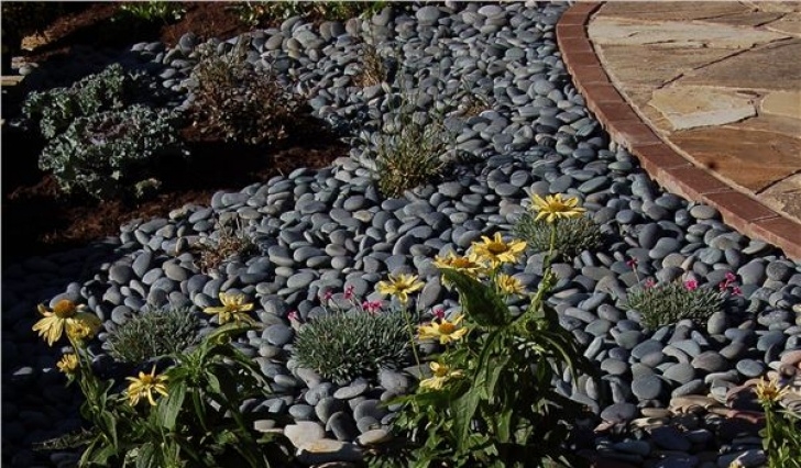 Black Pebbles For Landscaping Mexican Beach Pebbles | Semco Outdoor Landscaping Photo 700