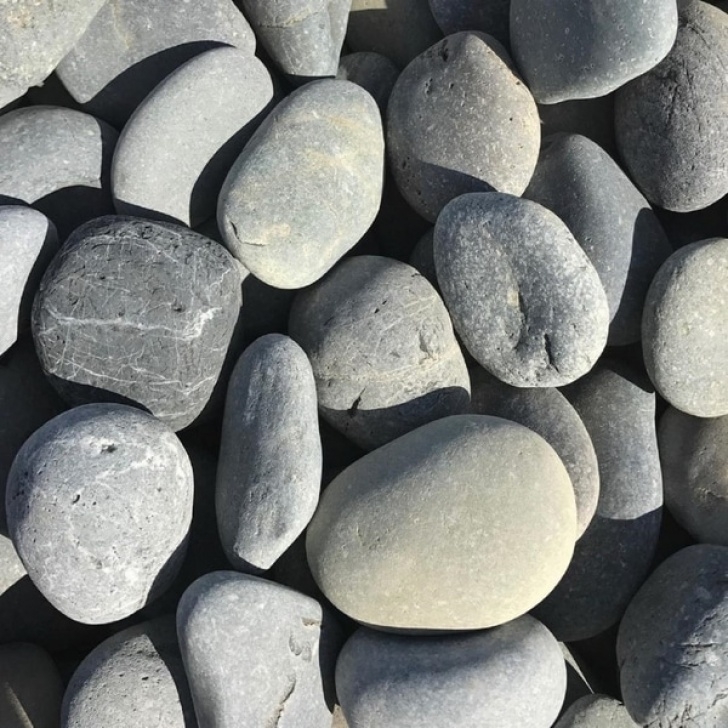 Black Pebbles For Landscaping Shop 2 To 3-Inch Black Mexican Beach Landscaping Pebble Picture 816