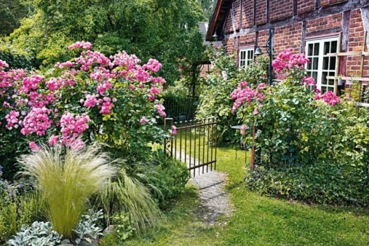 Blumengarten-Ideen Bauerngarten Anlegen Gestalten Image 098