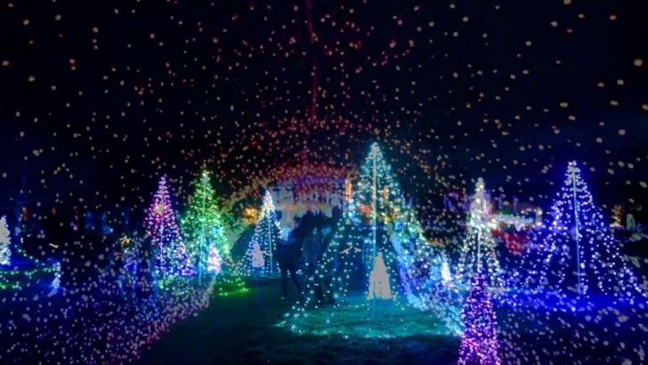 Botanical Garden Lights Night Lights 2018 At Tower Hill Botanic Garden - Youtube Image 609
