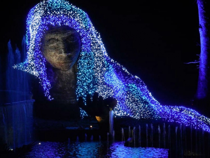 Botanical Garden Lights See Magical Christmas Lights At The Atlanta Botanical Image 245