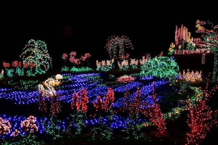 Botanical Garden Lights Vote- Best Botanical Garden Holiday Lights Nominees: 2018 Photo 055