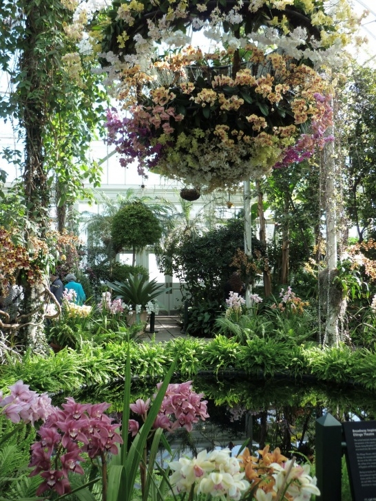 Bronx Botanical Garden Stylerelish: Bronx Botanical Garden Photo 402