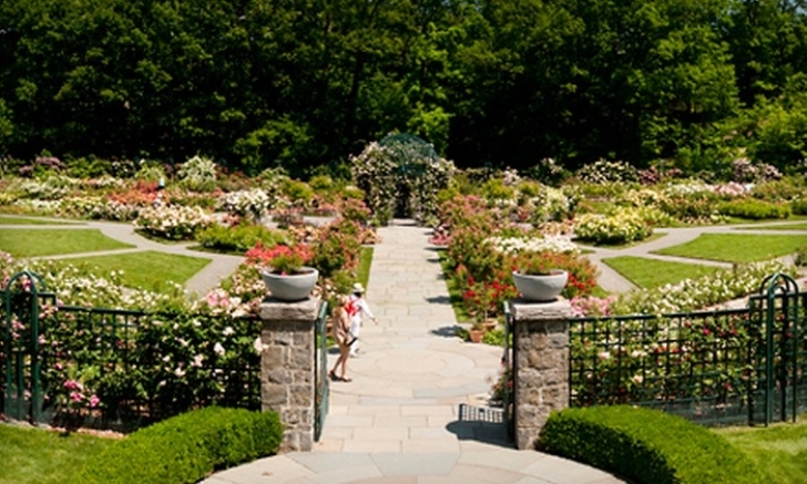 Bronx Botanical Garden The New York Botanical Garden In Bronx, Ny | Groupon Photo 126